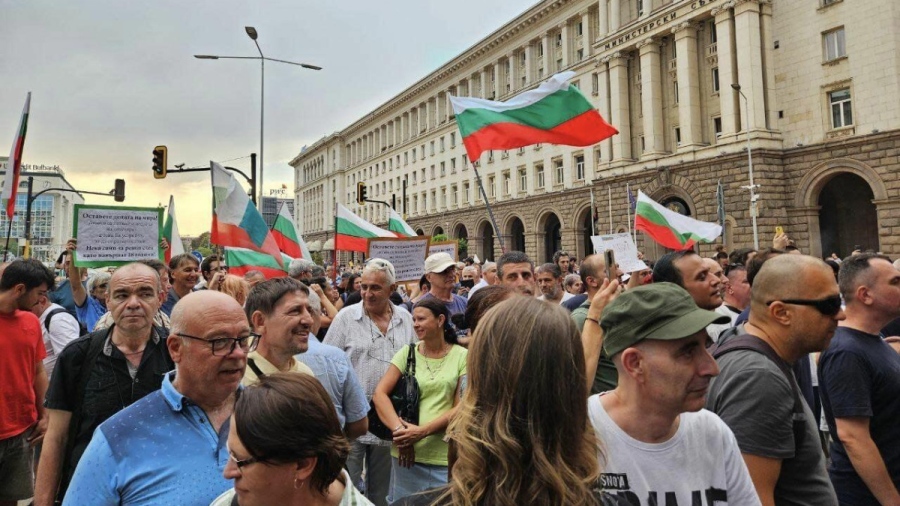 Предстои национален протест пред НС в защита на животните