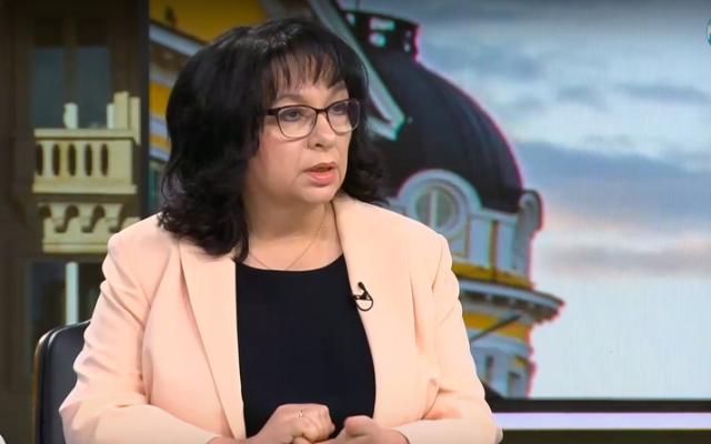Теменужка Петкова: На слаб президент - еврото му е виновно