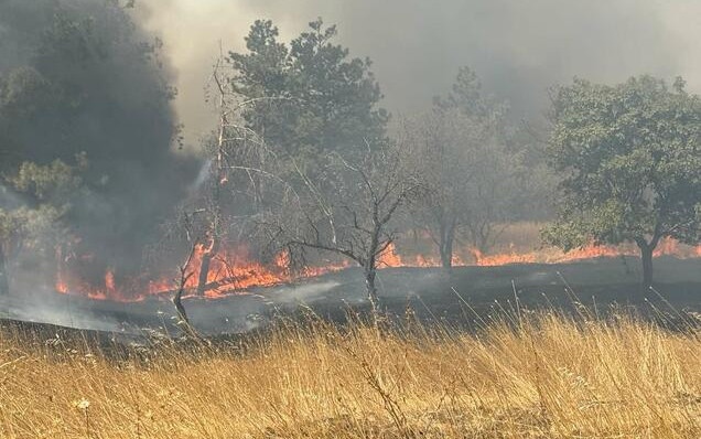Описват щетите след големия пожар в Българово