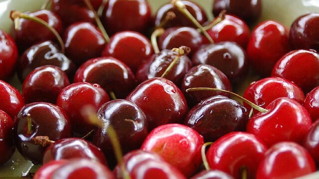 Напрежение сред производителите на череши: Какво обезщетение ще получат от държавата