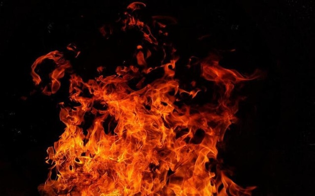 Огнен ад край Ляковец: Човек пострада, над 100 крави изгоряха живи