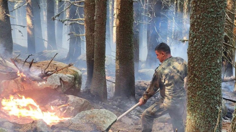 Тежка борба с огъня в Рила, новите огнища са атакувани от три страни