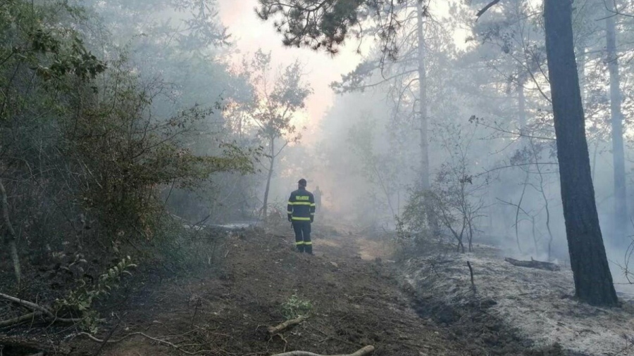Пожарът в Сакар се разраства, вече са обхванати 7000 декара