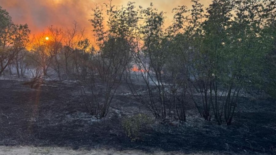 Пожарът в Сакар планина: 8000 дка обхванати от пламъци, огнеборци дежурят