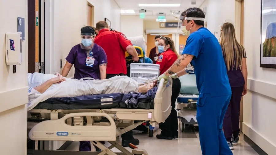 Смъртоносният вирус чикунгуня стигна до САЩ