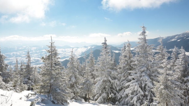 СНИМКА Съседи изкараха снегорините