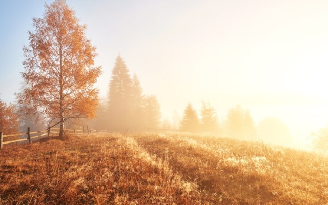 От сняг до 30-градусови жеги през октомври: Вижте прогнозата на НИМХ