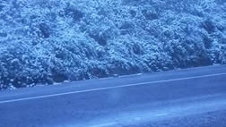 Честит първи сняг: Бяла покривка натрупа в части от страната