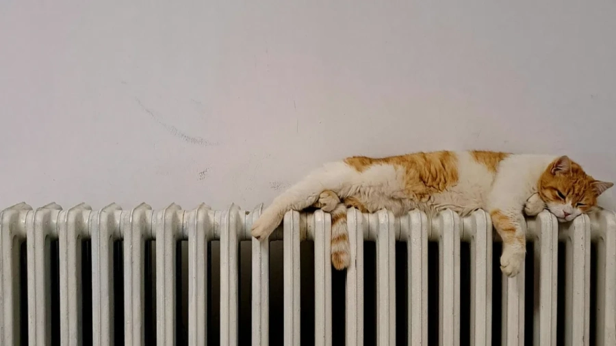 "Топлофикация Перник" започва поетапно пускане на парното