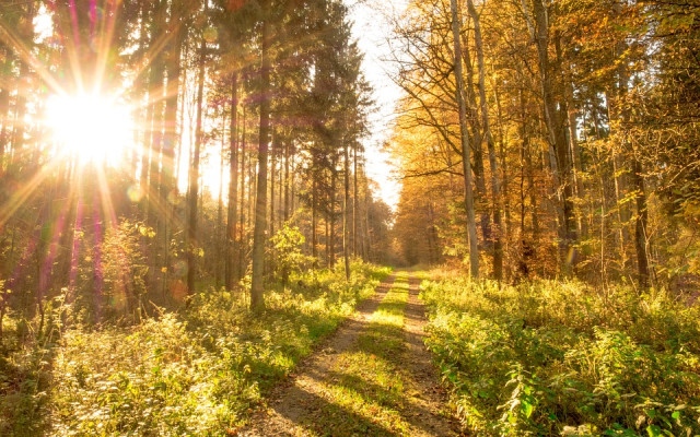 От 20°С и слънце до дъжд и  студ през седмицата