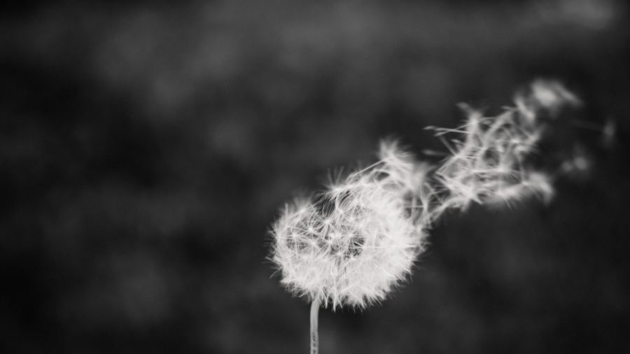 Времето остава ветровито и утре