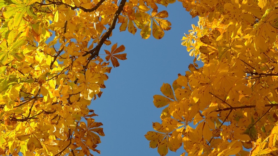 Слънчев ден, дъждовна вечер