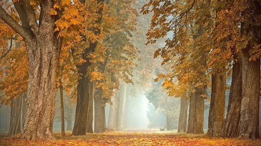 Има милост! Идва сиромашкото лято