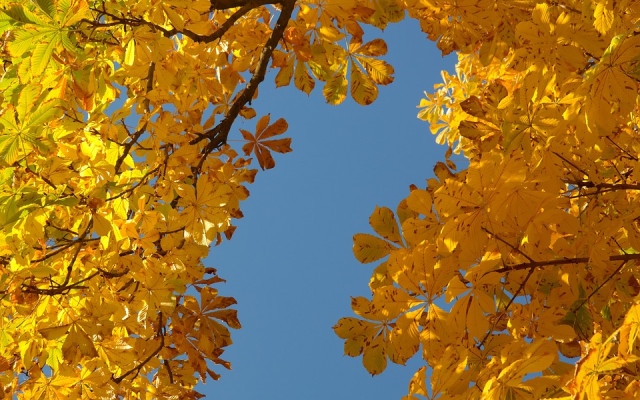 Седмицата започва със слънце, до 23°С днес