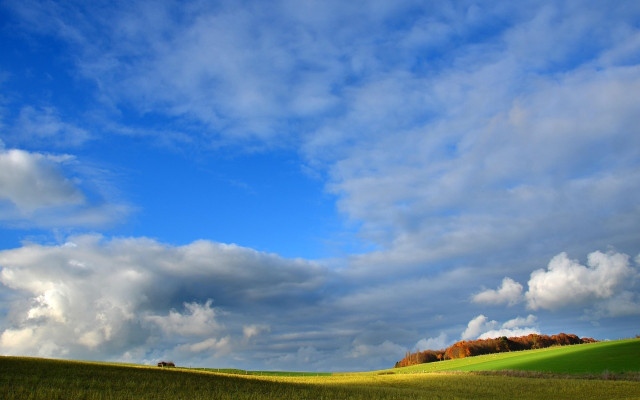 ЕС оряза климатичните си цели