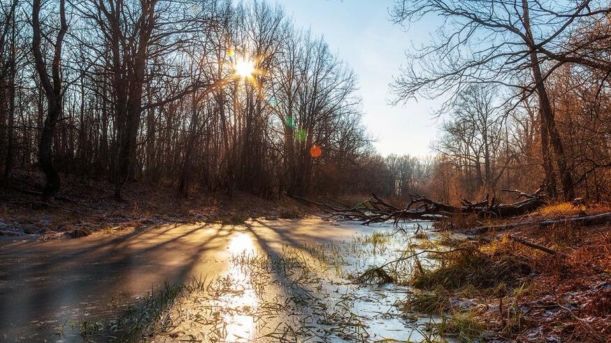 Синоптик: Сняг ще завали в градовете след 22 ноември