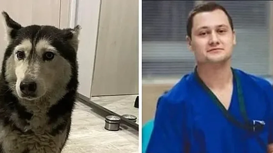 Парична гаранция от 5000 лв. за специализанта, прегазил кучето Мая