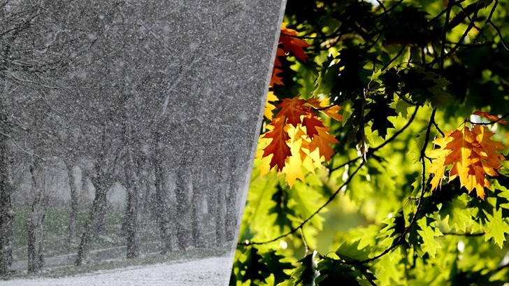 Meteo Balkans: Сняг затрупва Западните Балкани, докато у нас се радваме на топло време