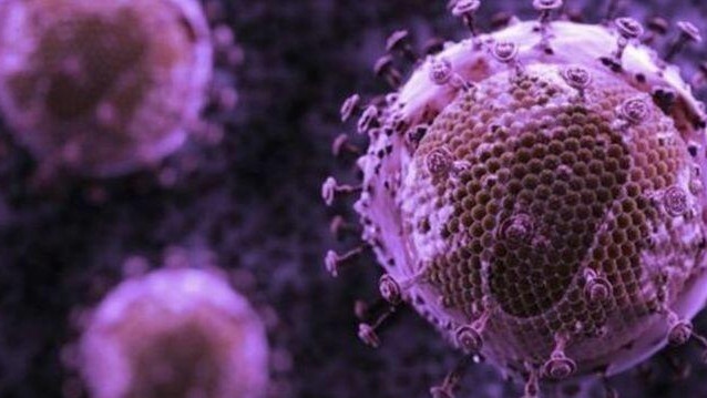 Какво &quot;обичат&quot; вирусите и как благодарение на тях, живеем