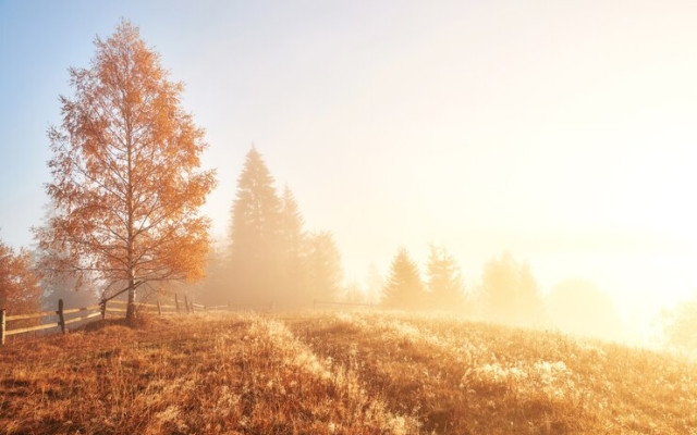 Дъждове и до  12°С в Западна България, без валежи и до 22°С в Източна