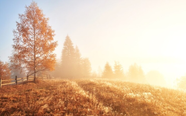 Какво време ни очаква през седмицата?