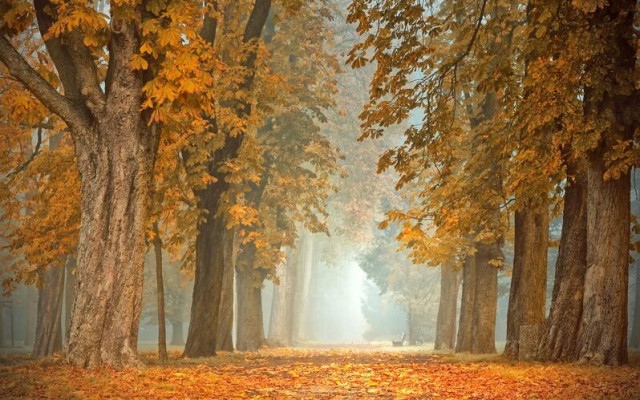 Синоптиците казаха какво време ни очаква до края на седмицата