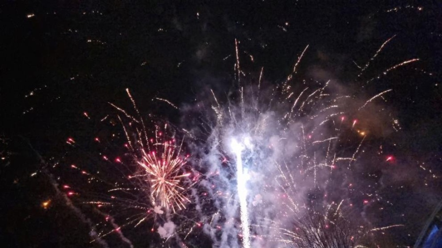 Природозащитници алармират: Фойерверките са опасни за животните и хората