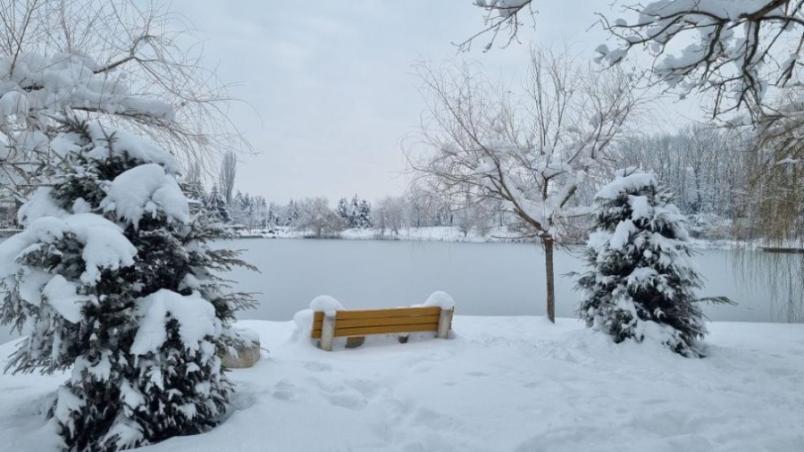 Предстои бяла Коледа: Обявиха жълт код за обилен снеговалеж в почти цяла България