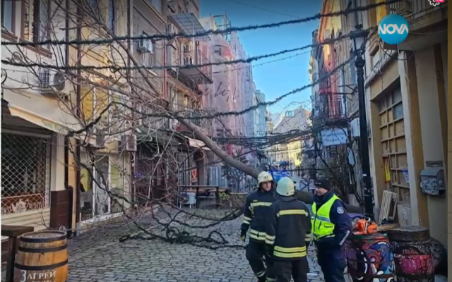 Ураганен вятър в Пловдив: Над 80 сигнала за сериозни материални щети и потрошени автомобили