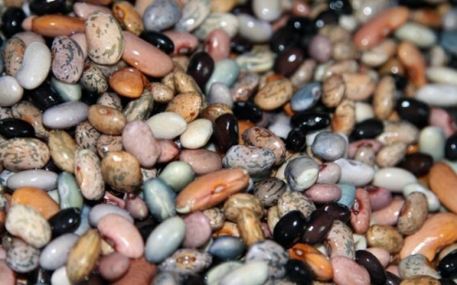 Боб вместо аналгин, люта чушка срещу температура