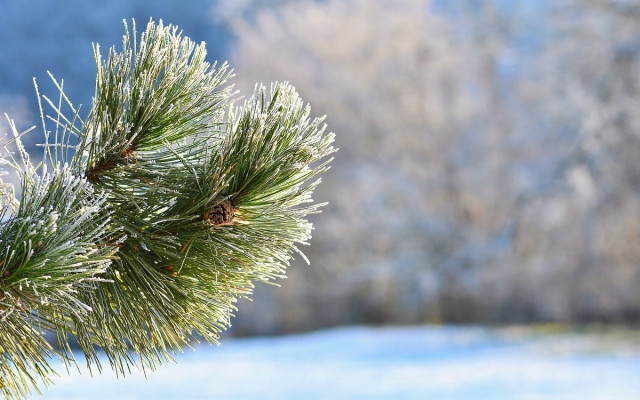 Още студ и силен вятър в последния ден на годината