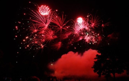 Нова година без шумни фойерверки и заря:  Как да празнуваме безопасно за животните