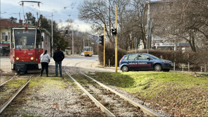 Силен вятър в София събори дървета, блокира трамваи
