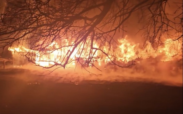 Пожар изпепели живи 7 коня в историческия комплекс "Фанагория" във Варна