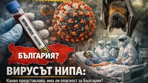 Вирусът Нипа: какво представлява, има ли опасност за България