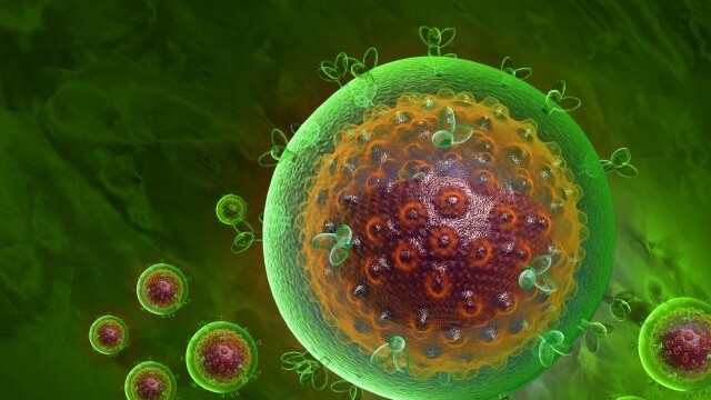 Опасен, но не пандемичен: Как се разпространява вирусът Нипа