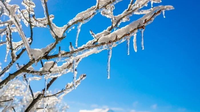 Леден капан обхваща седем области в Северна България