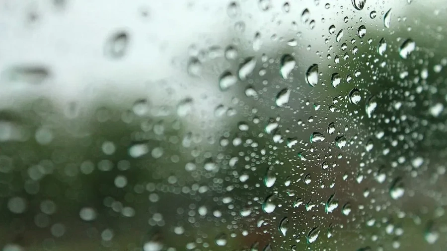 Обявиха жълт код в Южна България. В неделя идва студът, а от сряда...