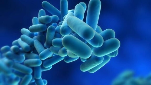 Кои вируси се разпространяват в момента у нас