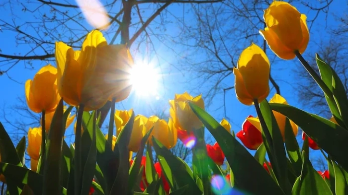 Какво ще е времето през уикенда?