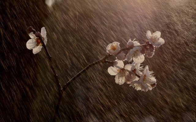 Рязко застудяване: До дни циклон с дъжд и мокър сняг връхлита България