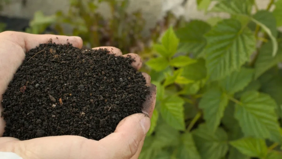 Има ли спекулация с цените на торовете?