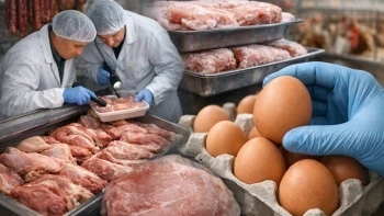 БАБХ предупреди: Внимавайте с пътуванията по Великден