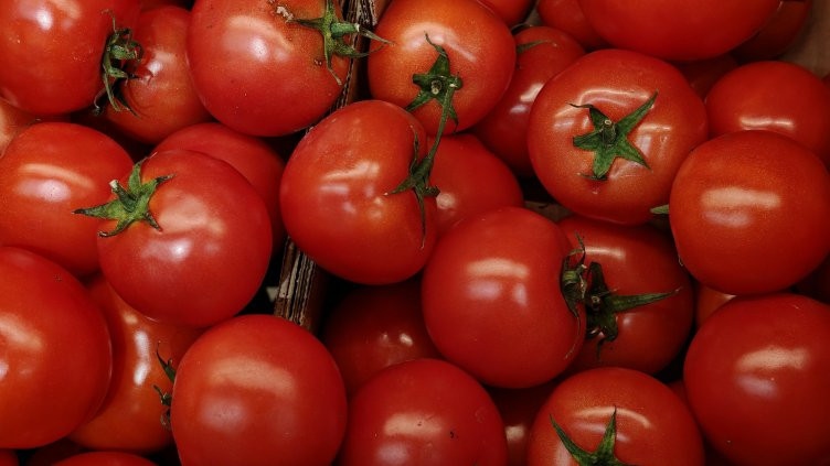 Спада производството на зеленчуци у нас