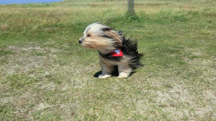 Времето във вторник: Жълт код за силен вятър в 6 области, валежи и гръмотевици в Родопите