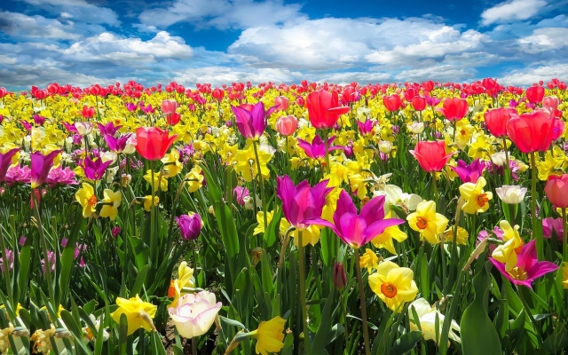 Пролетно слънце на Светли вторник