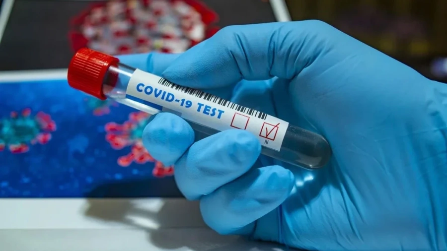 "Цикада" - новият COVID вариант със 70 мутации: Учен обясни как се е появил и какво означава за имунитета