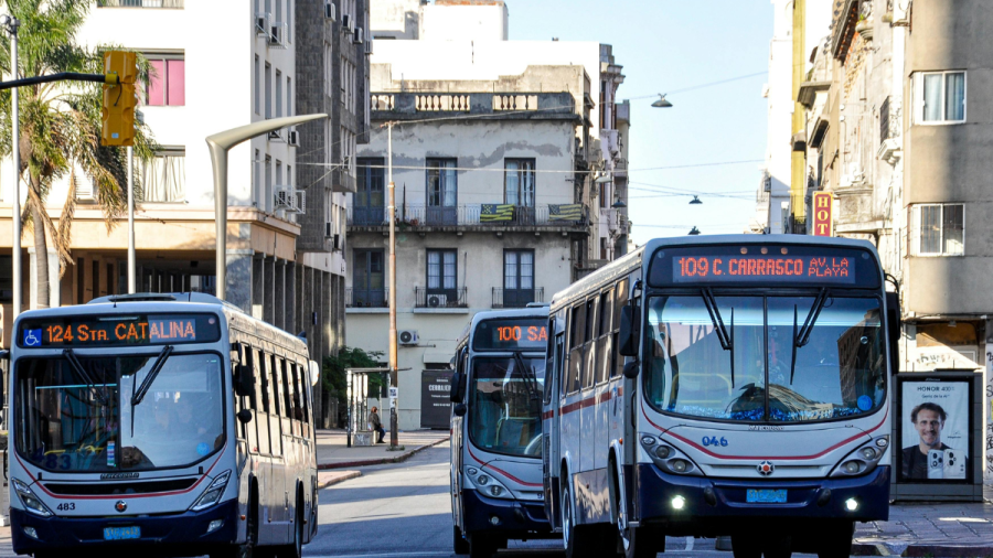 Експерт препоръчва споделено пътуване, е-коли, автобуси заради кризата
