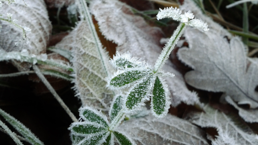 Времето в четвъртък: Отрицателни температури и опасност от слани в 7 области у нас