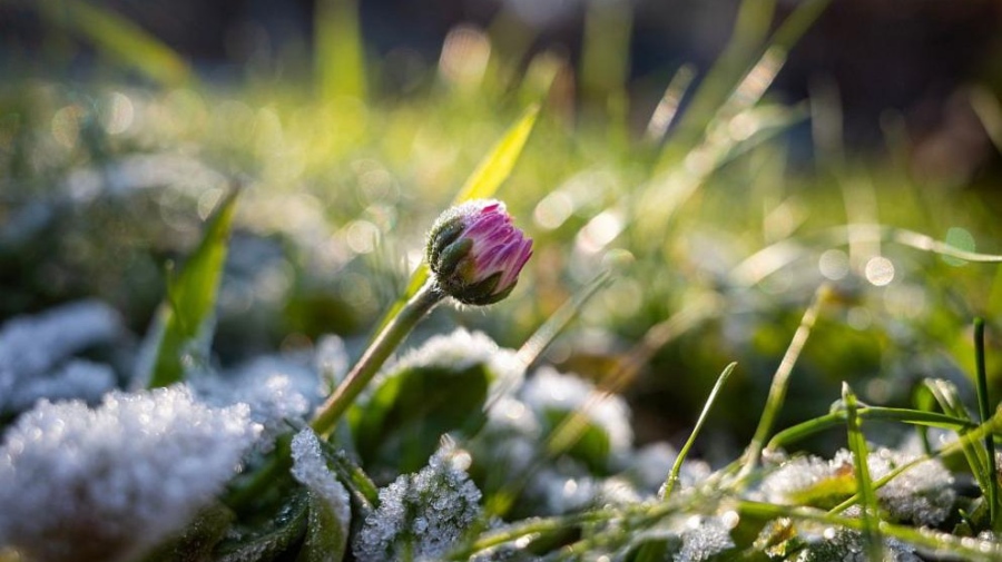 Слани в края на април: какво трябва да знаем и от какво да се пазим